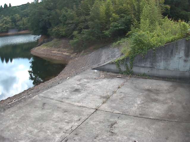 Sensor image